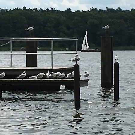 Lakeview *
