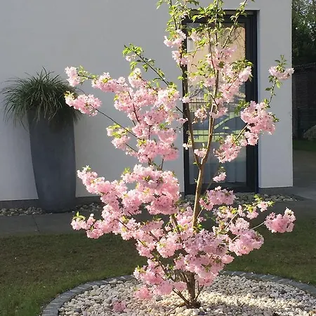 Lakeview Appartement Zeuthen